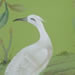 painting services
